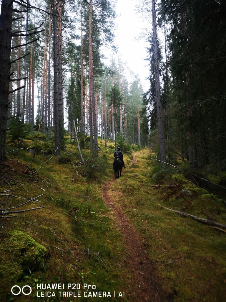 Ryttare på skogstur till häst i bergen