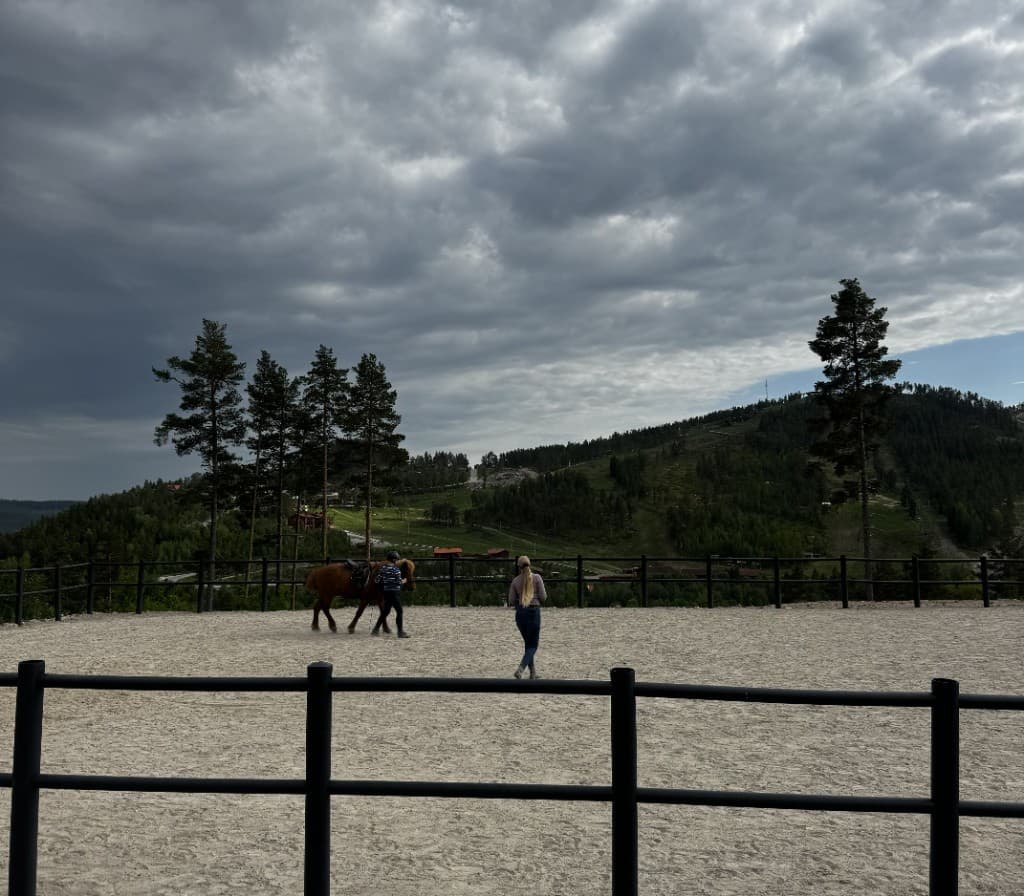 Utbildning på islandshäst vid ridbanan med utsikt över bergen